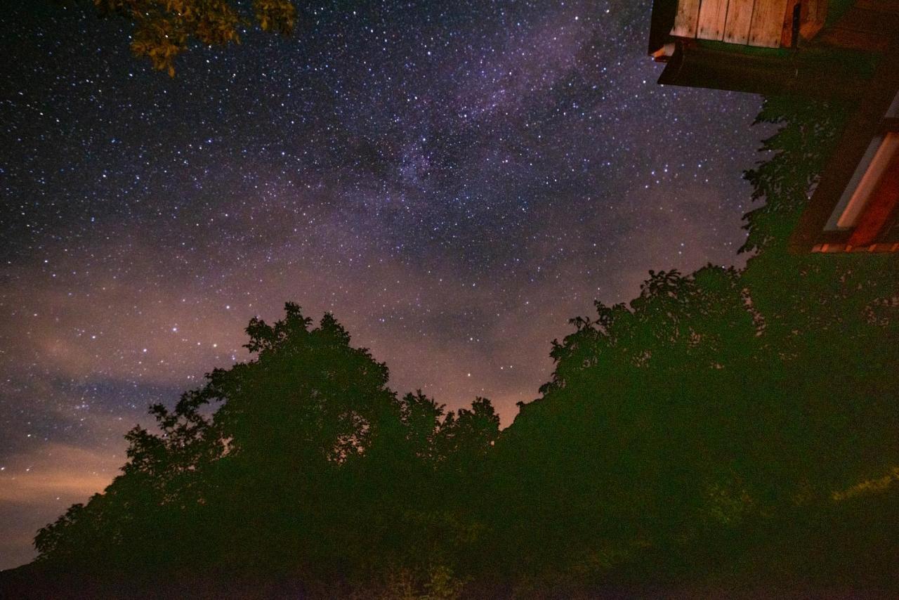 Miha Lodge - Mihcevo Plece Соча Экстерьер фото