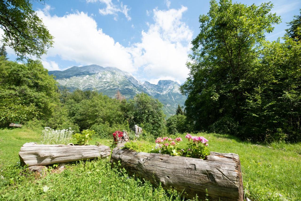 Miha Lodge - Mihcevo Plece Соча Экстерьер фото